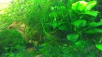copy_817_IMG_20200218_163701.jpg