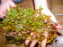 DSCF8151.jpg