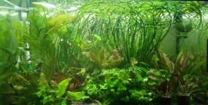 IMG_20200507_024519.JPG