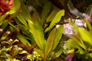 IMG_3809диджитал арт.jpg