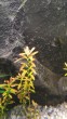 20200518_214741.jpg
