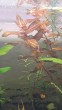 20200605_200827.jpg
