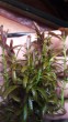 20200606_225432.jpg