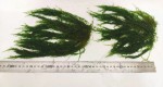 20200616_222200.jpg