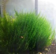 20200618_085055.jpg