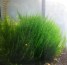 20200618_085055.jpg