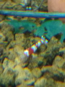 IMG_20200603_135855.jpg