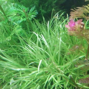 IMG_20200605_160425.jpg