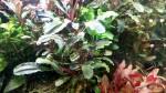 IMG_20200611_084047.jpg