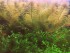 PicsArt_06-02-02.30.57.jpg