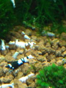 copy_401_IMG_20200526_112820.jpg