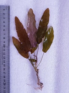 20200728_115945.jpg