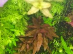 IMG_20200711_105049.jpg