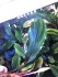 copy_887_1_1.jpeg