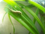 100_5616.JPG