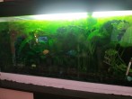 IMG_20200830_105601.jpg