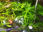 IMG_20200830_160613.jpg