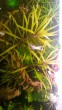 copy_766_20200803_172930.jpg