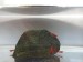 Красные креветки (Neocaridina) сакура 1.jpg