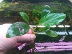20181024_005115.jpg