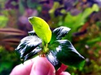20200824_145301.jpg