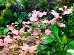 20200830_100516.jpg