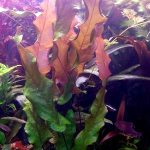 20200905_152043.jpg
