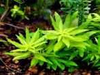 20200905_153935.jpg