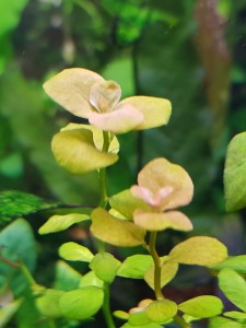 20200905_155337.jpg