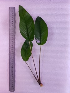 20200907_150125.jpg