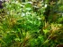 20200916_133900.jpg