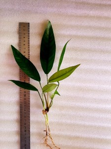 20200922_081040.jpg