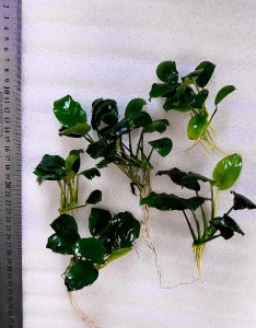 20200925_214843.jpg