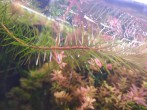 IMG_20200911_143727_1.jpg