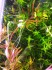 copy_492_IMG_20200916_180013.jpg