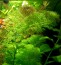 copy_496_20200911_004031.jpg