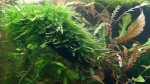 copy_740_20200904_192907.jpg