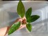 copy_959_copy_744_copy_200_copy_313_copy_271_copy_331_copy_250_copy_370_copy_789_copy_453_copy_69_DSCN5336.jpg