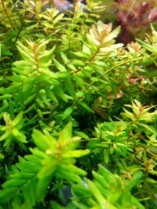 20200924_105826.jpg