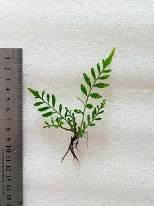 20201001_123346.jpg