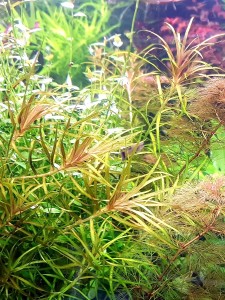 20201001_140026.jpg