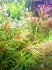 20201001_140026.jpg