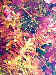 20201005_143747.jpg