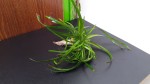 20201013_101850.jpg