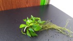 20201013_102239.jpg