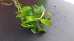 20201013_102413.jpg