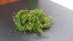 20201013_102835.jpg