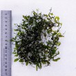 20201013_123925.jpg