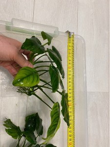20201013_191524151_iOS.jpg