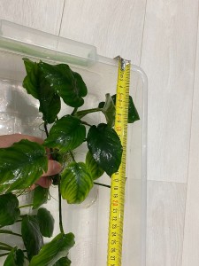 20201013_191546039_iOS.jpg